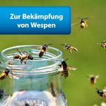 4122438-AD77477-ARDAP-Pro-Wespen-Powerspray-500ml.jpg