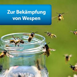 4122438-AD77477-ARDAP-Pro-Wespen-Powerspray-500ml.jpg 4122438-AD77477-ARDAP-Pro-Wespen-Powerspray-500ml.jpg