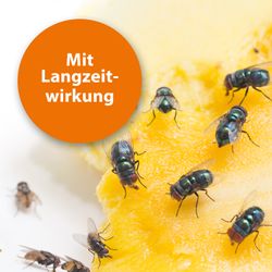 4122447-AD77704-ARDAP-Fliegenfalle-Nachfueller-3er-Pack_1.jpg 4122447-AD77704-ARDAP-Fliegenfalle-Nachfueller-3er-Pack_1.jpg