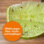 4122448-AD77705-ARDAP-Fruchtfliegenfalle.jpg
