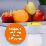 4122448-AD77705-ARDAP-Fruchtfliegenfalle_3.jpg