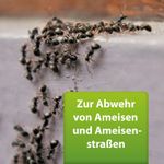 4122554-AD77782-ARDAP-Repell-Ameisenspray-400ml_1.jpg