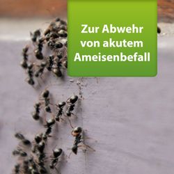 4122555-AD77784-Ardap-Repell-Ameisenmittel-500g_1.jpg 4122555-AD77784-Ardap-Repell-Ameisenmittel-500g_1.jpg