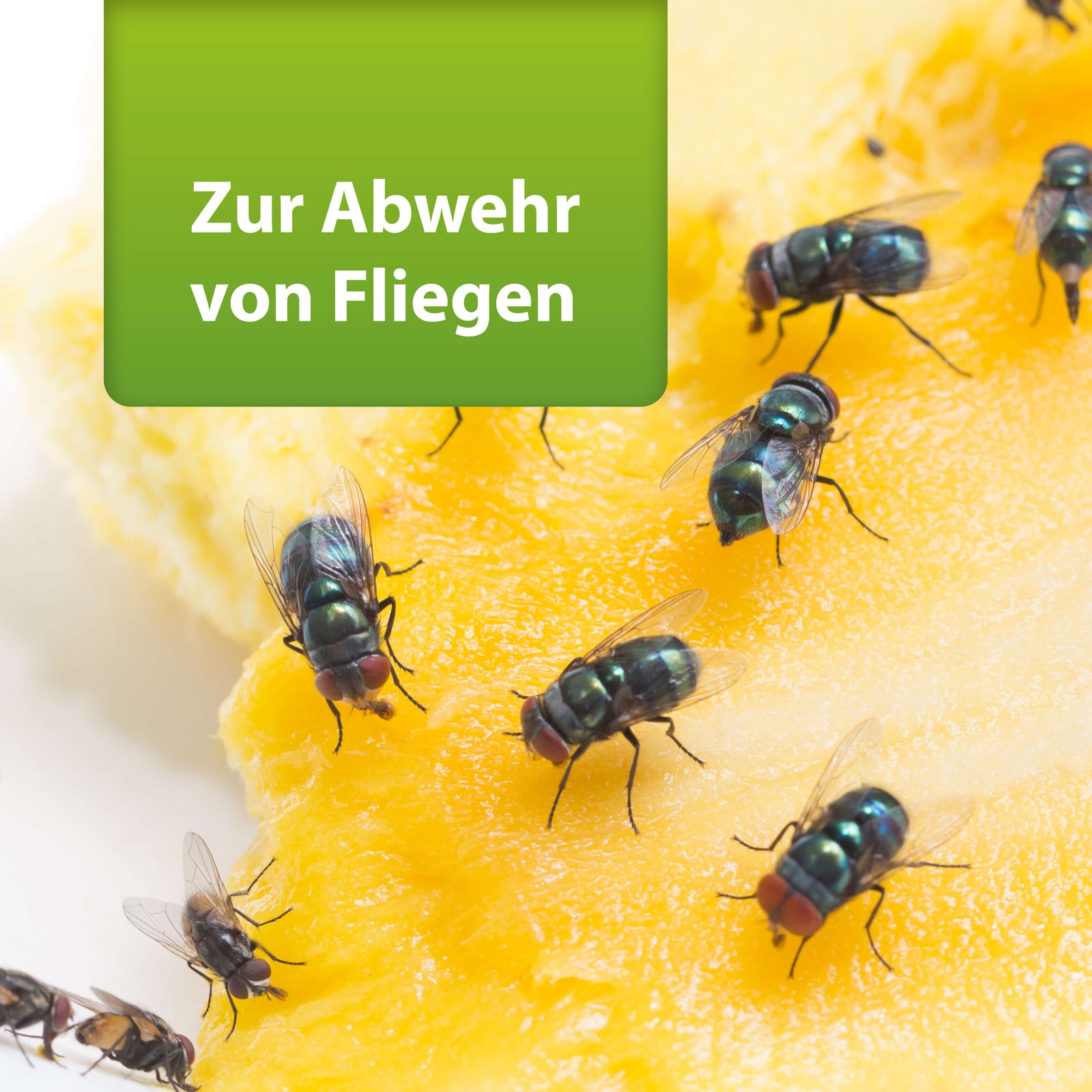 ARDAP Repell Fliegenspray 400ml Spray gegen Fliegen Stall Haus Insekten Sofortwi