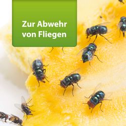 4122558-AD77794-ARDAP-Repell-Fliegenspray-400ml_1.jpg 4122558-AD77794-ARDAP-Repell-Fliegenspray-400ml_1.jpg