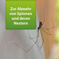 4122560-AD77796-ARDAP-Repell-Spinnenspray-400ml_1.jpg 4122560-AD77796-ARDAP-Repell-Spinnenspray-400ml_1.jpg