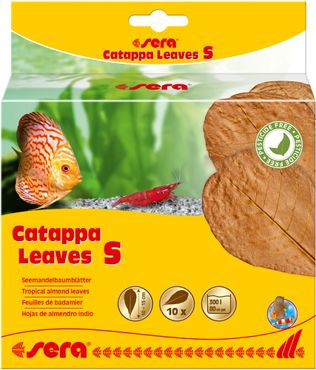 sera Catappa Leaves XXL 30 - 35 cm (10 St)