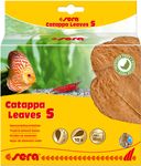 4122651-SE45245-sera-Catappa-Leaves-XXL-30-35-cm--10-St-.jpg