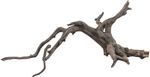 4122669-SE45937-sera-Scaper-Root-S-25-30-cm.jpg