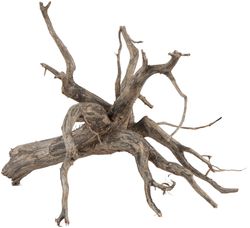 4122670-SE45938-sera-Scaper-Root-M-30-35-cm.jpg 4122670-SE45938-sera-Scaper-Root-M-30-35-cm.jpg
