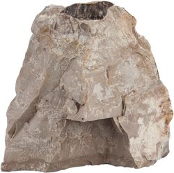 4122746-SE47334-sera-Rock-Asian-Pagoda-S-M-0-6-1-4-kg.jpg 4122746-SE47334-sera-Rock-Asian-Pagoda-S-M-0-6-1-4-kg.jpg