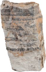 4122747-SE47335-sera-Rock-Asian-Pagoda-L-2-3-kg.jpg 4122747-SE47335-sera-Rock-Asian-Pagoda-L-2-3-kg.jpg