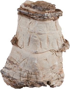 sera Rock Asian Pagoda XXL ca. 6 kg