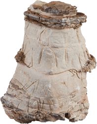 4122748-SE47336-sera-Rock-Asian-Pagoda-XXL-ca--6-kg.jpg 4122748-SE47336-sera-Rock-Asian-Pagoda-XXL-ca--6-kg.jpg