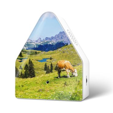 Heidibox Alpine Meadow