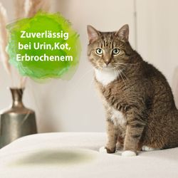 4123365-AD250168-Bactador-Katzentoiletten-Geruchsentferner-500ml.jpg 4123365-AD250168-Bactador-Katzentoiletten-Geruchsentferner-500ml.jpg