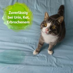4123367-AD250177-Bactador-Waeschespuelung-Geruchsentferner-1-Liter_2.jpg 4123367-AD250177-Bactador-Waeschespuelung-Geruchsentferner-1-Liter_2.jpg