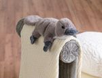 4123518-GR01204-Warmies-Schnabeltier_4.jpg