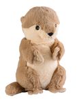 4123519-GR01205-Warmies-Otter_1.jpg