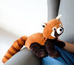 4123524-GR01216-Warmies-Roter-Panda_3.jpg