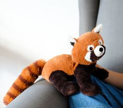 4123524-GR01216-Warmies-Roter-Panda_3.jpg 4123524-GR01216-Warmies-Roter-Panda_3.jpg