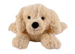 4123540-GR01243-Warmies-Golden-Retriever.jpg