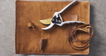 4123680-Felco-2-80th-A-Felco-Schere-Felco-2-Sonderausgabe-zum-80-jaehrigen-Jubilaeum_1.png