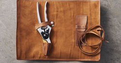 4123680-Felco-2-80th-A-Felco-Schere-Felco-2-Sonderausgabe-zum-80-jaehrigen-Jubilaeum_2.png 4123680-Felco-2-80th-A-Felco-Schere-Felco-2-Sonderausgabe-zum-80-jaehrigen-Jubilaeum_2.png