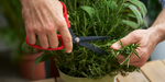 4123700-FELCO-455-FELCO-455-Gartenschere_3.png