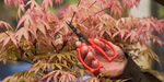 4123701-FELCO-420-FELCO-420-Praezisionsschere_2.png