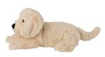 4123763-GR15113-Warmies-MINI-Golden-Retriever_2.jpg