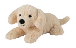 4123763-GR15113-Warmies-MINI-Golden-Retriever.jpg 4123763-GR15113-Warmies-MINI-Golden-Retriever.jpg
