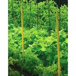 4123994-PC14161-Peacock-Gartennetz-5-x-2-m_1.jpg 4123994-PC14161-Peacock-Gartennetz-5-x-2-m_1.jpg