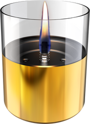 4124116-TF-200005-Tenderflame-Tischfeuer-Lilly-10-Gold.png 4124116-TF-200005-Tenderflame-Tischfeuer-Lilly-10-Gold.png
