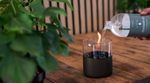 4124122-TF-700010-Tenderflame-Brennstoff-Tenderfuel-Organic-1-Liter.png