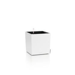 4124220-LE19440-LECHUZA-CUBE-Color-30-Komplettset-weiss.jpg 4124220-LE19440-LECHUZA-CUBE-Color-30-Komplettset-weiss.jpg