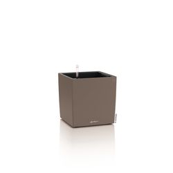 4124222-LE19442-LECHUZA-CUBE-Color-30-Komplettset-muskat.jpg 4124222-LE19442-LECHUZA-CUBE-Color-30-Komplettset-muskat.jpg