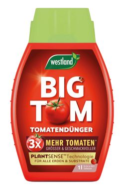 Westland Big Tom Tomatendünger 1l