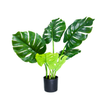 4124624-MGC1743-mgc24-Kunstpflanze-Monstera-Gruen-60cm-Hoehe.png