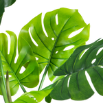 4124624-MGC1743-mgc24-Kunstpflanze-Monstera-Gruen-60cm-Hoehe_1.png