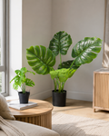 4124624-MGC1743-mgc24-Kunstpflanze-Monstera-Gruen-60cm-Hoehe_2.png