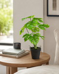 4124625-MGC1744-mgc24-Kunstpflanze-Monstera-Gruen-35cm-Hoehe_4.png