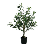 4124627-MGC1746-mgc24-Kunstpflanze-Olivenbaum-50cm-Hoehe.png