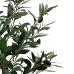 4124627-MGC1746-mgc24-Kunstpflanze-Olivenbaum-50cm-Hoehe_1.png