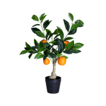 4124629-MGC1748-mgc24-Kunstpflanze-Orangenbaum-Gruen-50cm-Hoehe.png