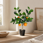 4124629-MGC1748-mgc24-Kunstpflanze-Orangenbaum-Gruen-50cm-Hoehe_2.png