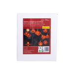 4124871-FH36597-Halloween-LED-Lichterkette-mit-10-Kuerbissen_2.png