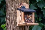 4124903-CJ300550419-CJ-Wildlife-Eichhoernchen-Futterautomat-Victoria.jpg