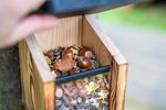 4124903-CJ300550419-CJ-Wildlife-Eichhoernchen-Futterautomat-Victoria_1.jpg