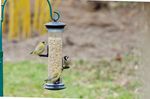 4124913-CJ310990619-CJ-Wildlife-Futtersaeule-Apollo-4-oeffnungen.jpg